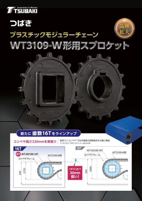 WT3109-W型塑料模块链条用链轮