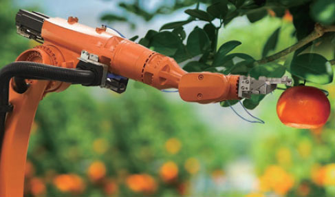 农作物收获机器人